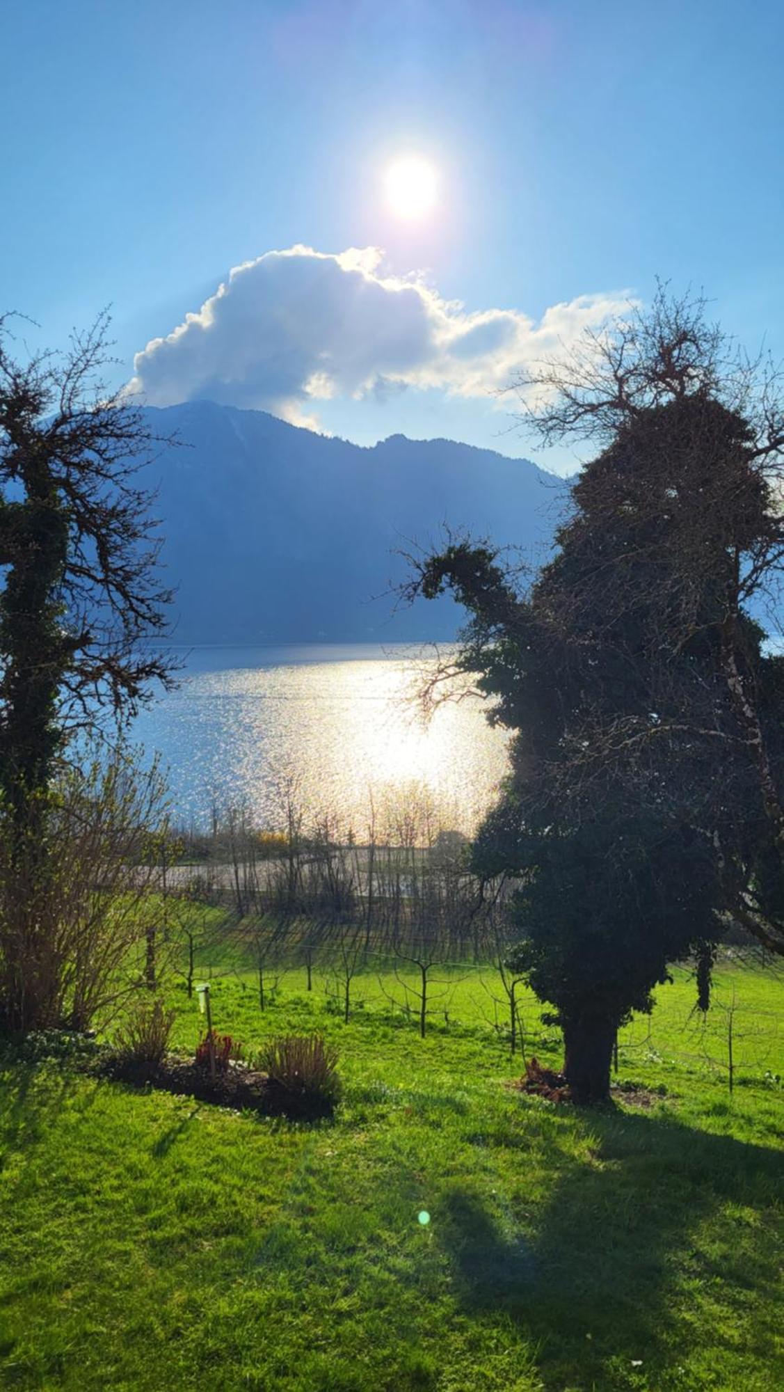 Exklusiv Apartment Scheichl Unterach am Attersee Esterno foto